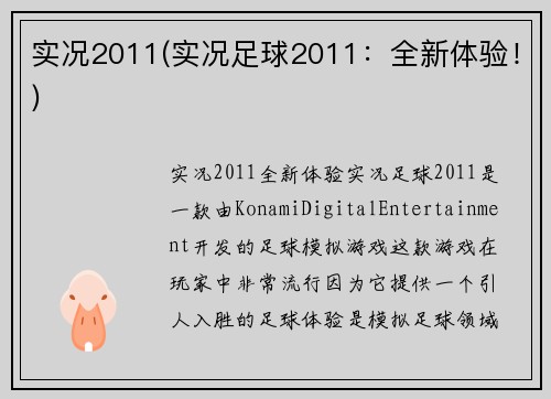 实况2011(实况足球2011：全新体验！)